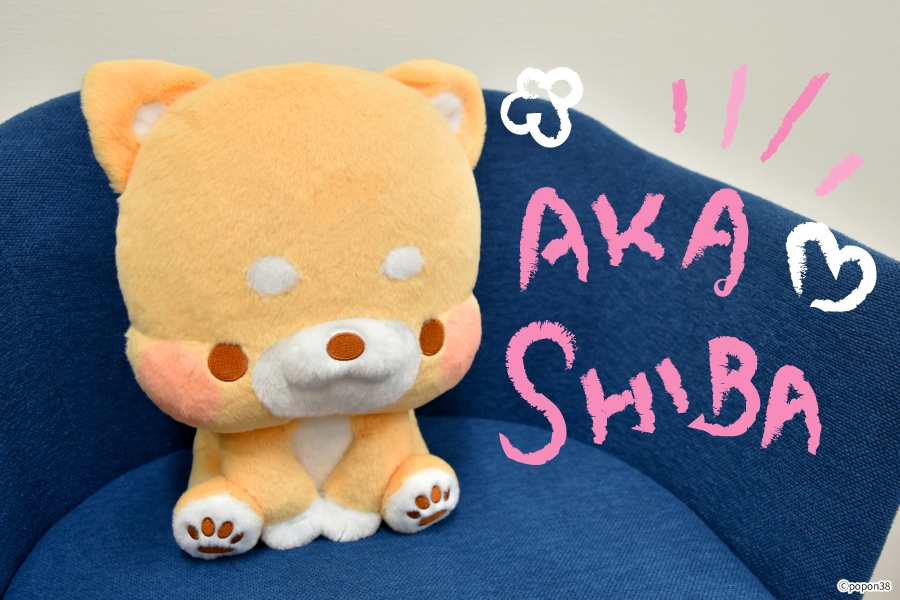 いやしばいぬ Bigぬいぐるみがプライズに登場 トピックス 株式会社フクヤ プライズ アニメ 雑貨 いやしばいぬ Bigぬいぐるみがプライズに登場 トピックス 株式会社フクヤ プライズ アニメ 雑貨