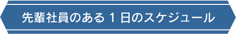 先輩社員のある1日のスケジュール